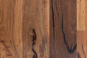 Spotted Gum