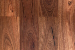 Spotted Gum