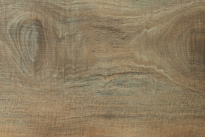 Australian Spotted Gum